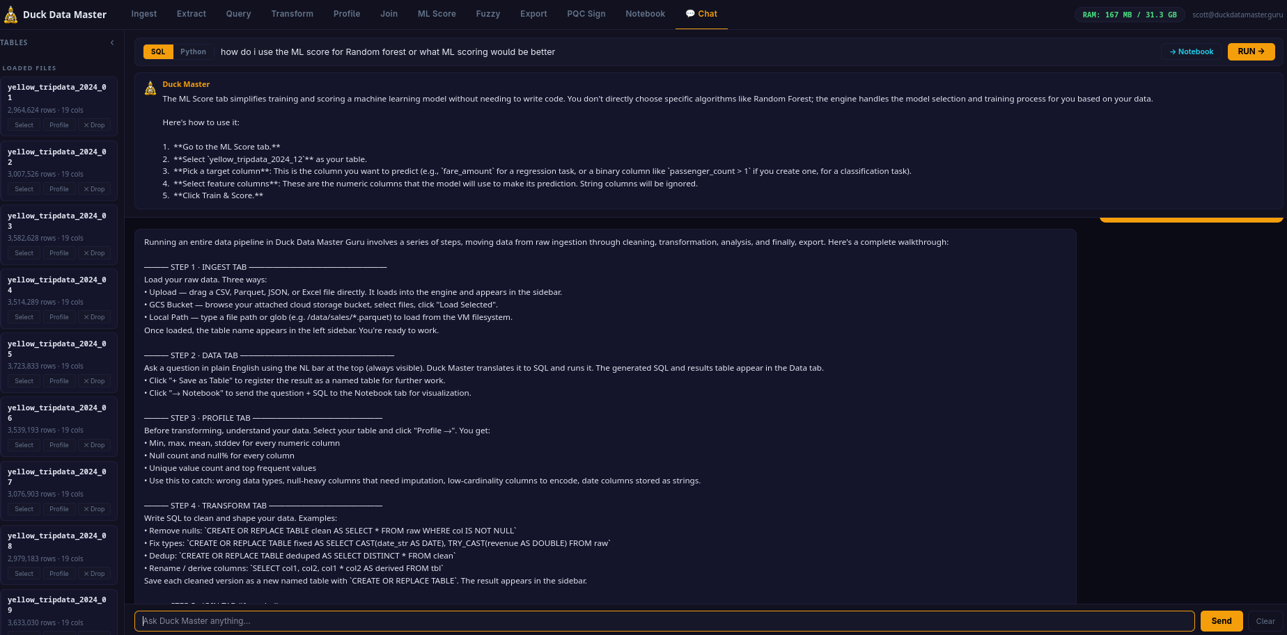 Chat Tab — Duck Master AI conversation
