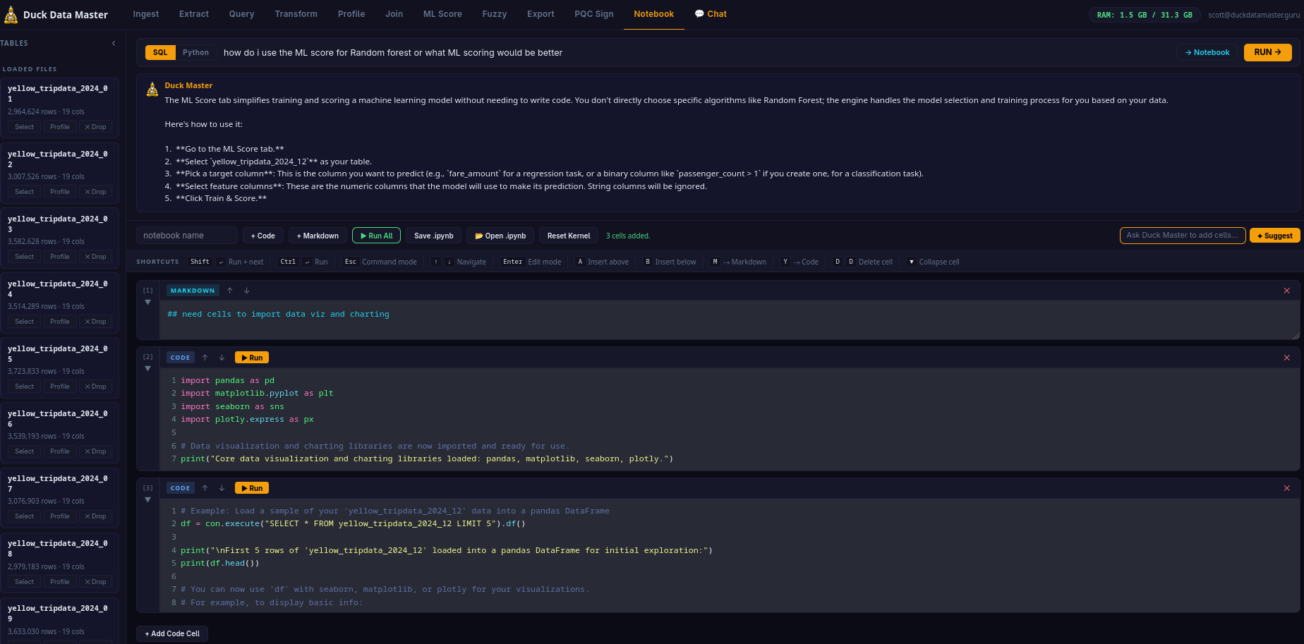 Duck Data Master — AI analytics dashboard on your cloud instance
