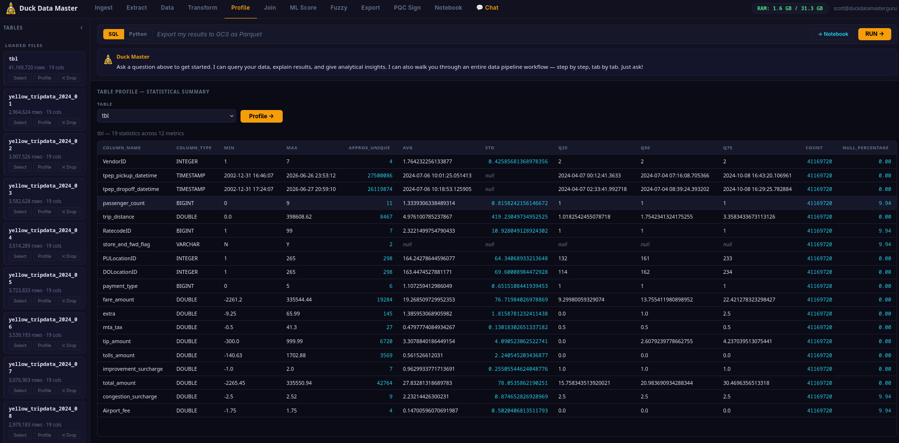 Profile Tab — schema and data profiler